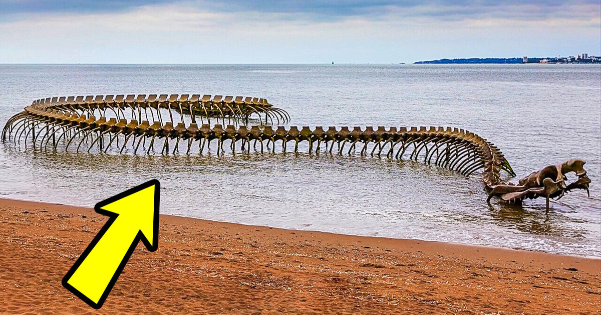 Самые большие существа из когда-либо живших: рекордные размеры