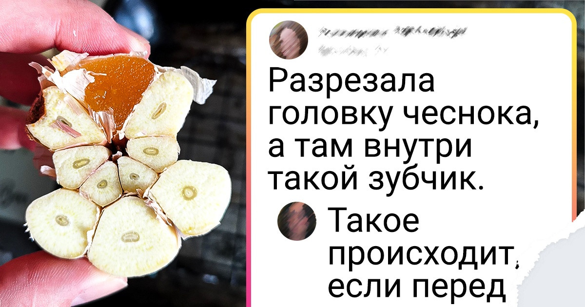 20+ человек, которые наглядно ответили на извечный вопрос «Что будет, если?..» 20+ человек, которые наглядно ответили на извечный вопрос «Что будет, если?..»