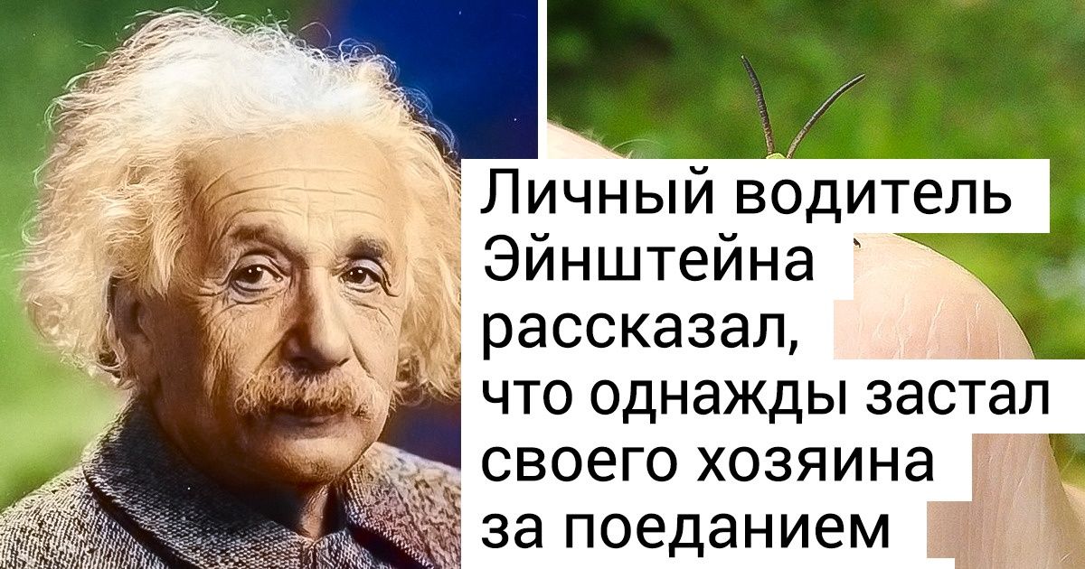 Самые умные люди в истории человечества 60 фото