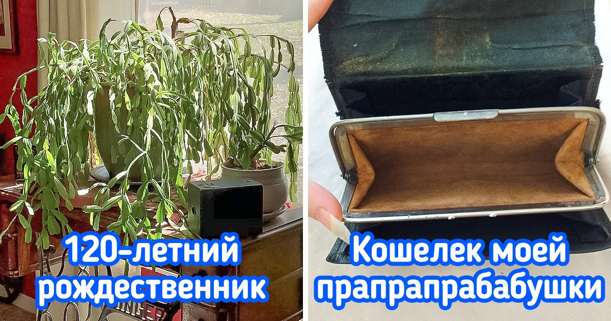 20 человек показали семейные реликвии, которые, знаете ли, куда круче всяких новомодных вещичек