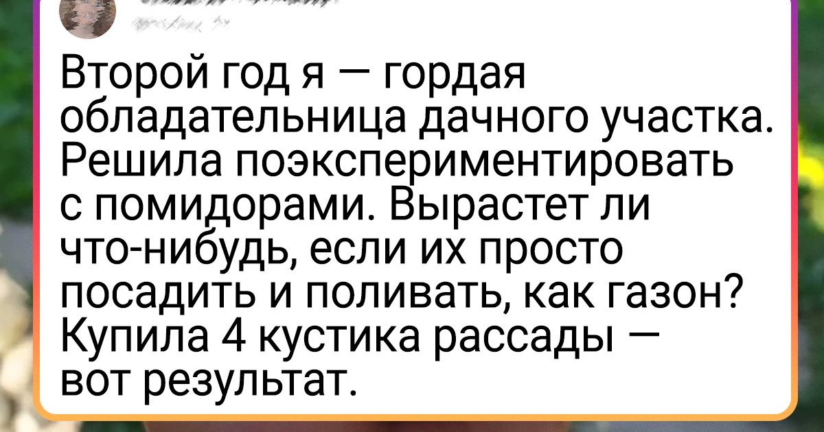 15+ человек, которые утерли нос пессимистам и добились своего 15+ человек, которые утерли нос пессимистам и добились своего