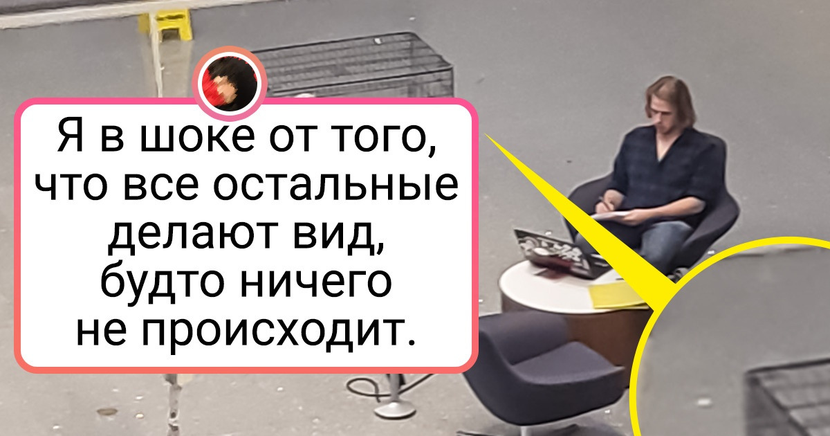 17 случаев, когда люди просто взяли и шокировали всех своими выходками