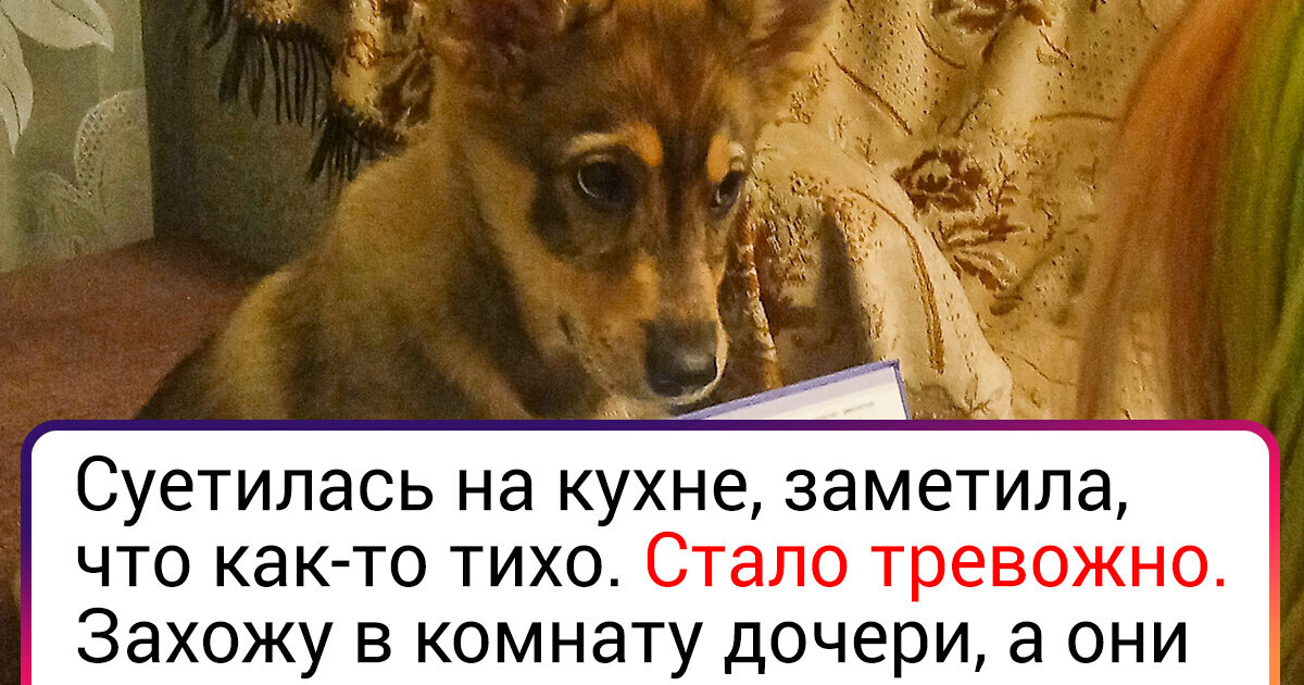 15+ доказательств того, что дети и животные просто созданы друг для друга 15+ доказательств того, что дети и животные просто созданы друг для друга