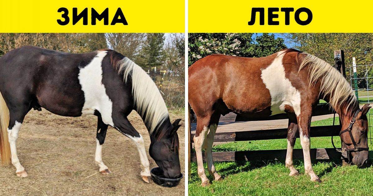 20 сюрпризов природы, которые не укладываются у нас в голове