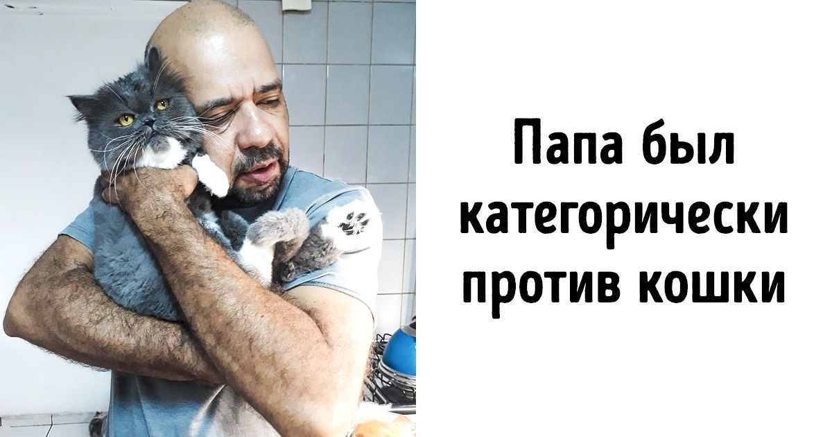 29 фото, которые расскажут всю правду об отношениях между людьми и их питомцами 29 фото, которые расскажут всю правду об отношениях между людьми и их питомцами