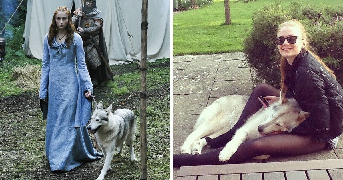 7 знаменитостей, которые так полюбили своих четвероногих звездных коллег, что отказались расставаться с ними 7 знаменитостей, которые так полюбили своих четвероногих звездных коллег, что отказались расставаться с ними