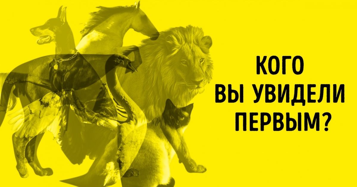 Какое животное вы увидели первым на картинке тест