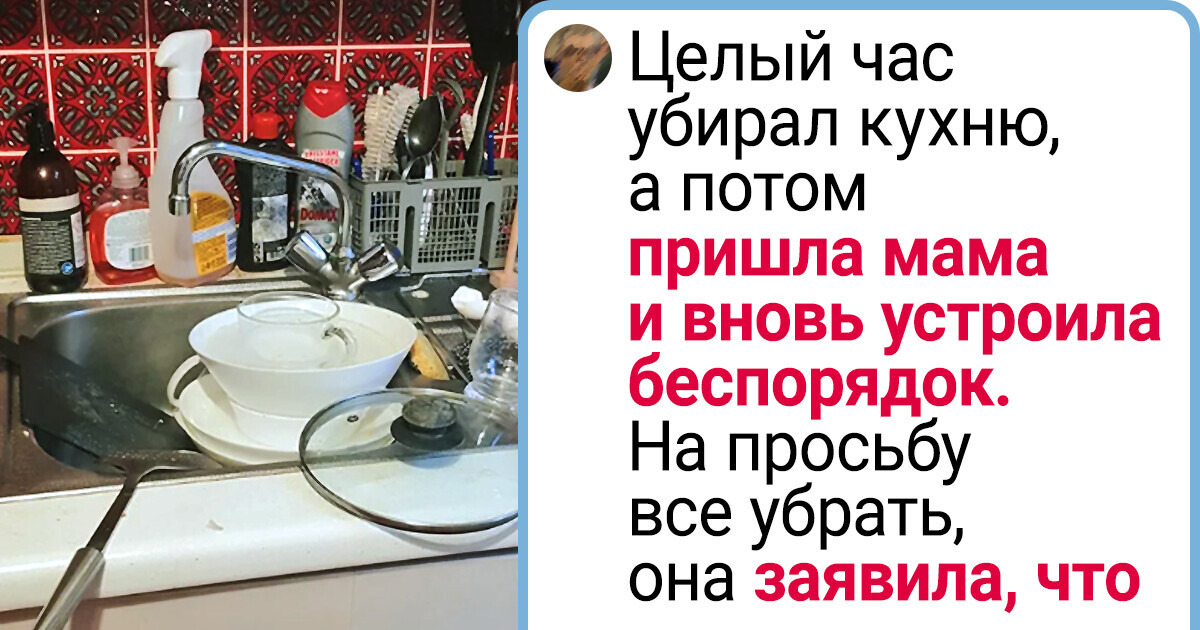 20+ домочадцев, которыми жизнь похожа на американские горки