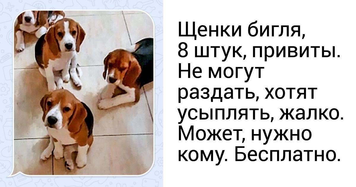 10 актуальных схем, которыми пользуются телефонные мошенники