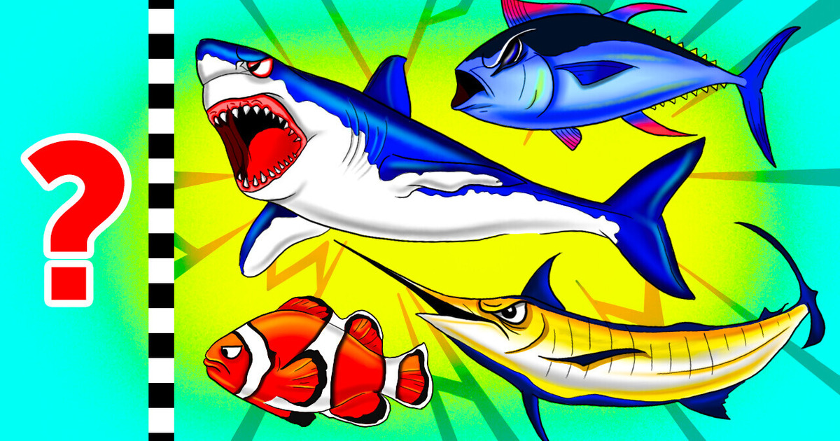 Какое существо — самое быстрое в воде? Какое существо — самое быстрое в воде?