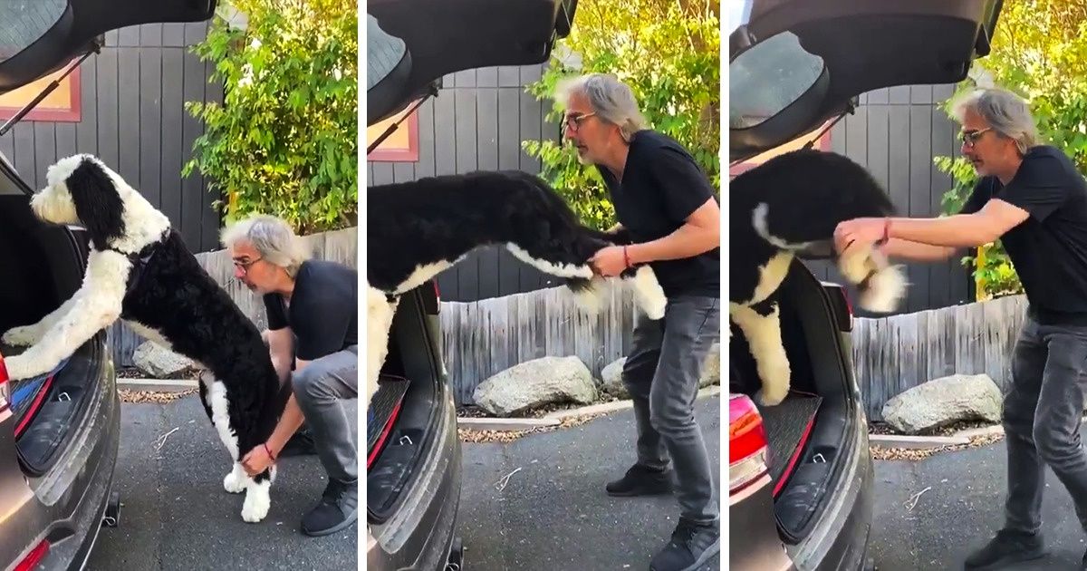 19 человек и животных, чья философия — не утруждать себя по пустякам