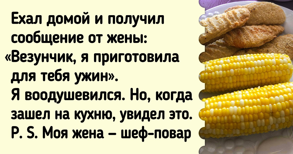 19 доказательств того, что кулинарные эксперименты могут привести к появлению семейной легенды 19 доказательств того, что кулинарные эксперименты могут привести к появлению семейной легенды