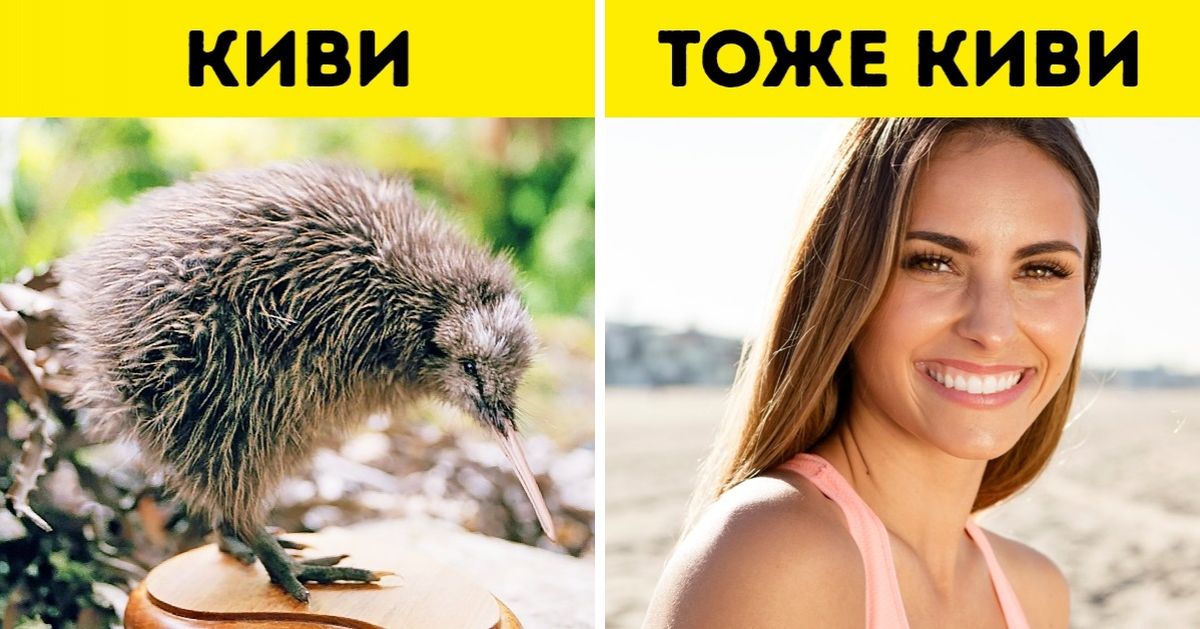 12 вещей, которые я поняла о Новой Зеландии, прожив здесь полтора года