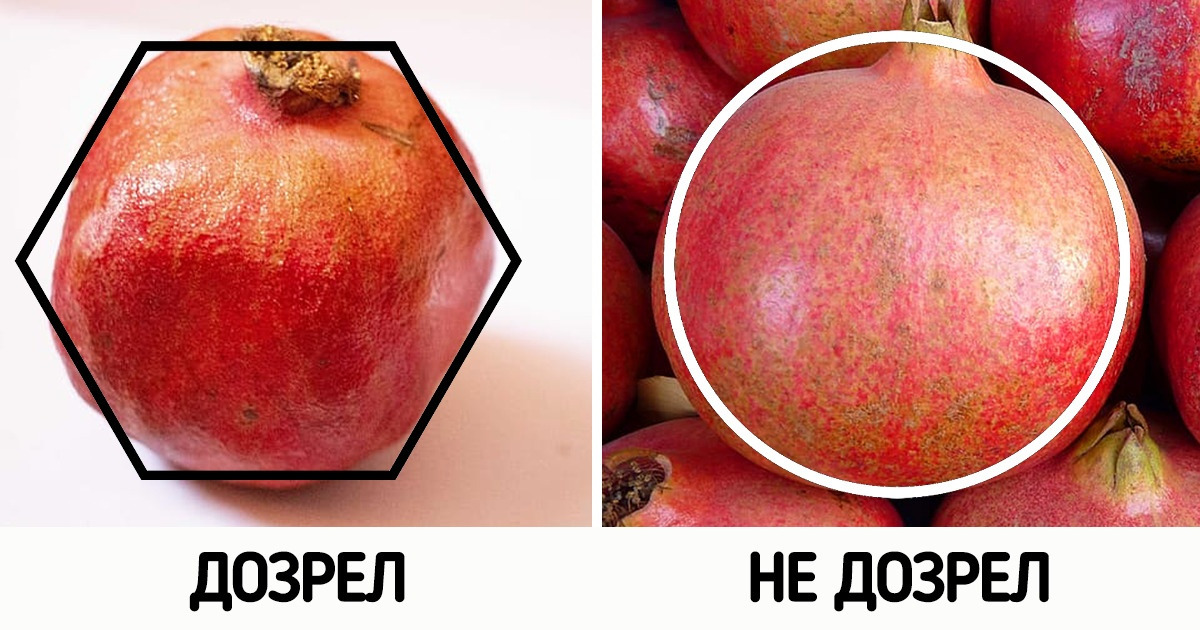 10 способов выбрать в магазине свежие и полезные продукты, а не ерунду 10 способов выбрать в магазине свежие и полезные продукты, а не ерунду