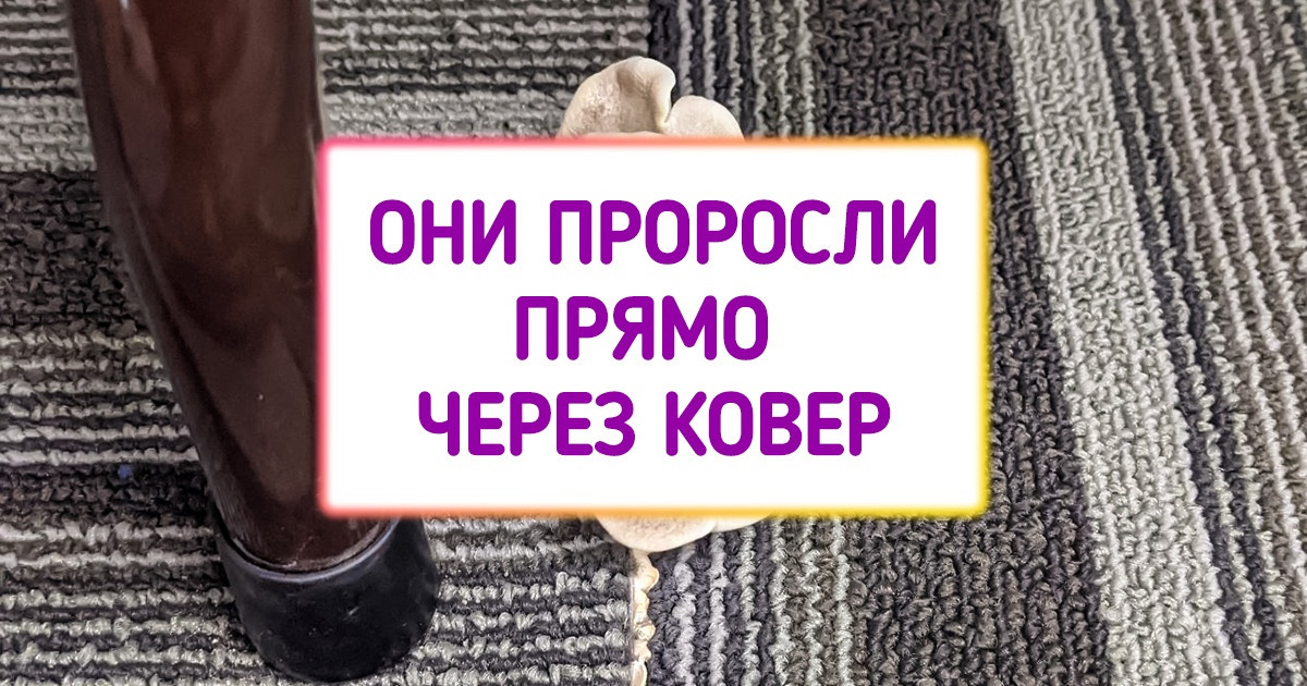 20 ярких доказательств того, что у природы есть для нас еще много загадок 20 ярких доказательств того, что у природы есть для нас еще много загадок