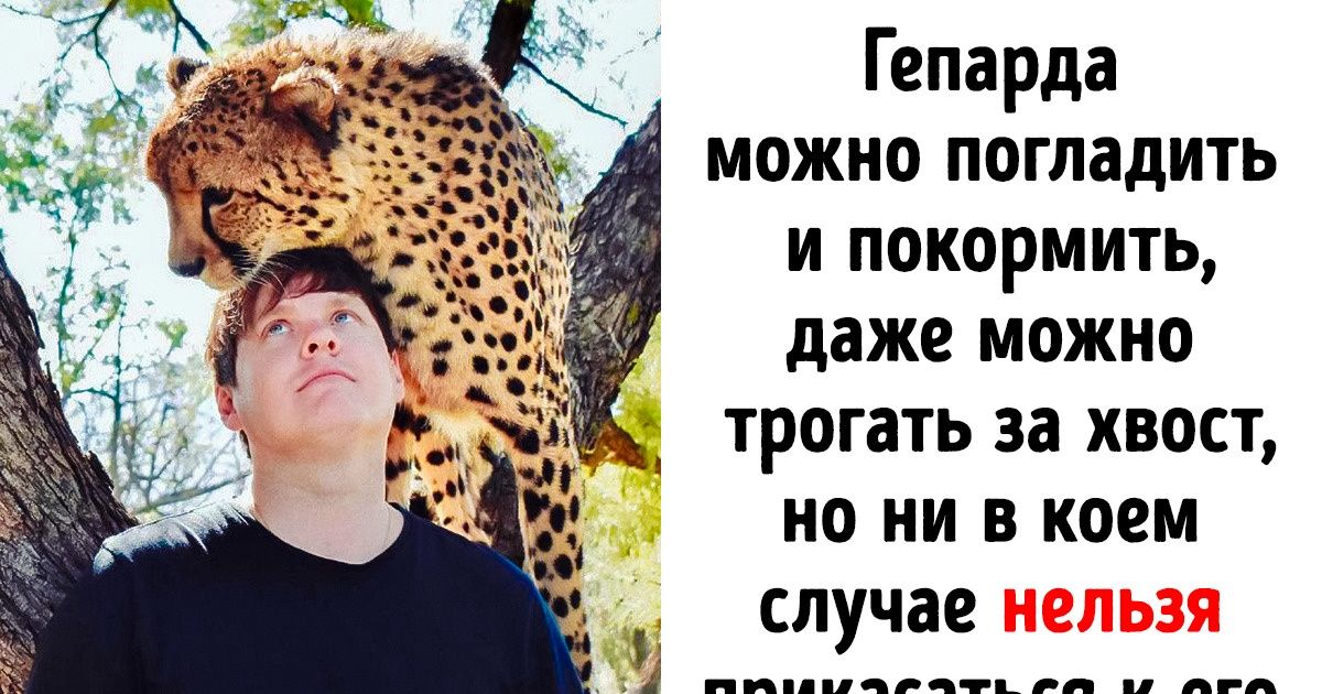 Петербуржец объехал 193 страны мира и готов рассказать о 10 секретных местах, которые еще не успели заполонить толпы туристов Петербуржец объехал 193 страны мира и готов рассказать о 10 секретных местах, которые еще не успели заполонить толпы туристов