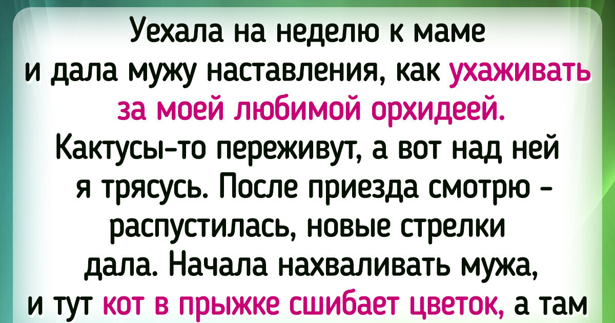 15+ цветоводов-любителей, которые знают, что растения — это не хобби, а любовь всей жизни 15+ цветоводов-любителей, которые знают, что растения — это не хобби, а любовь всей жизни