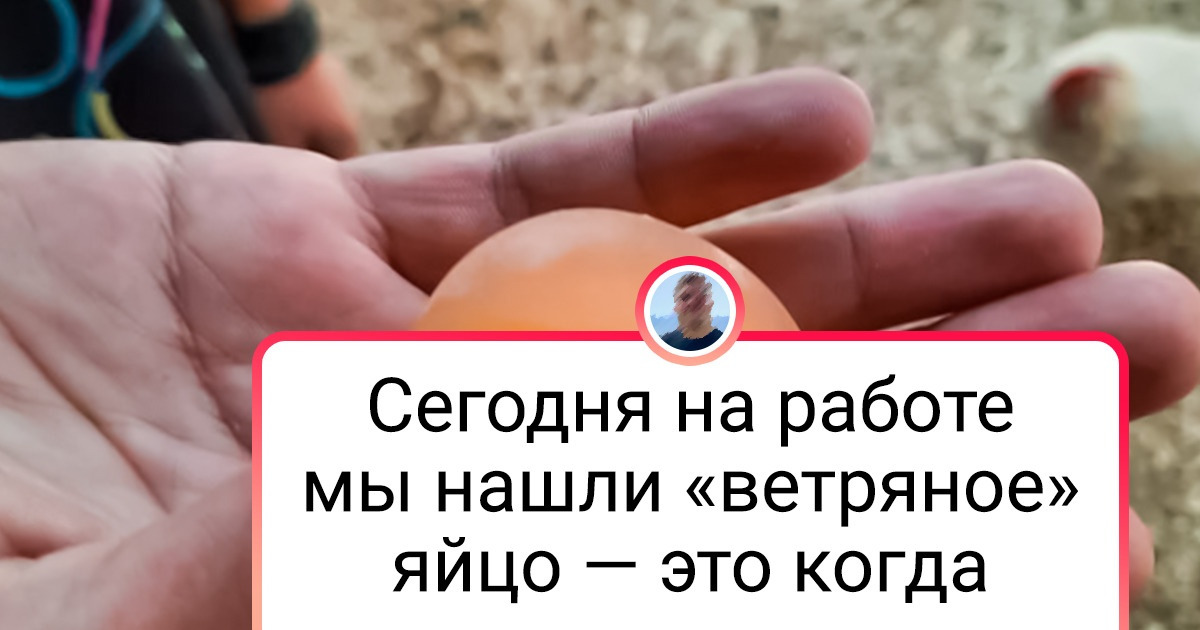 18 обыденных вещей, у которых обнаружилась любопытная деталь 18 обыденных вещей, у которых обнаружилась любопытная деталь