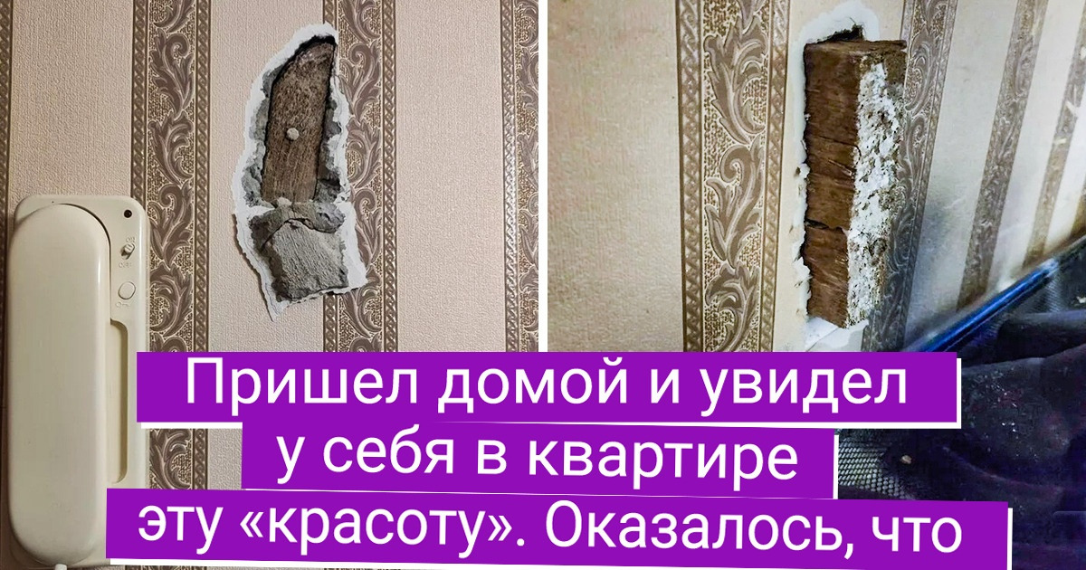 15 человек, которые знают, что в процессе ремонта чувство юмора проходит основательную проверку 15 человек, которые знают, что в процессе ремонта чувство юмора проходит основательную проверку