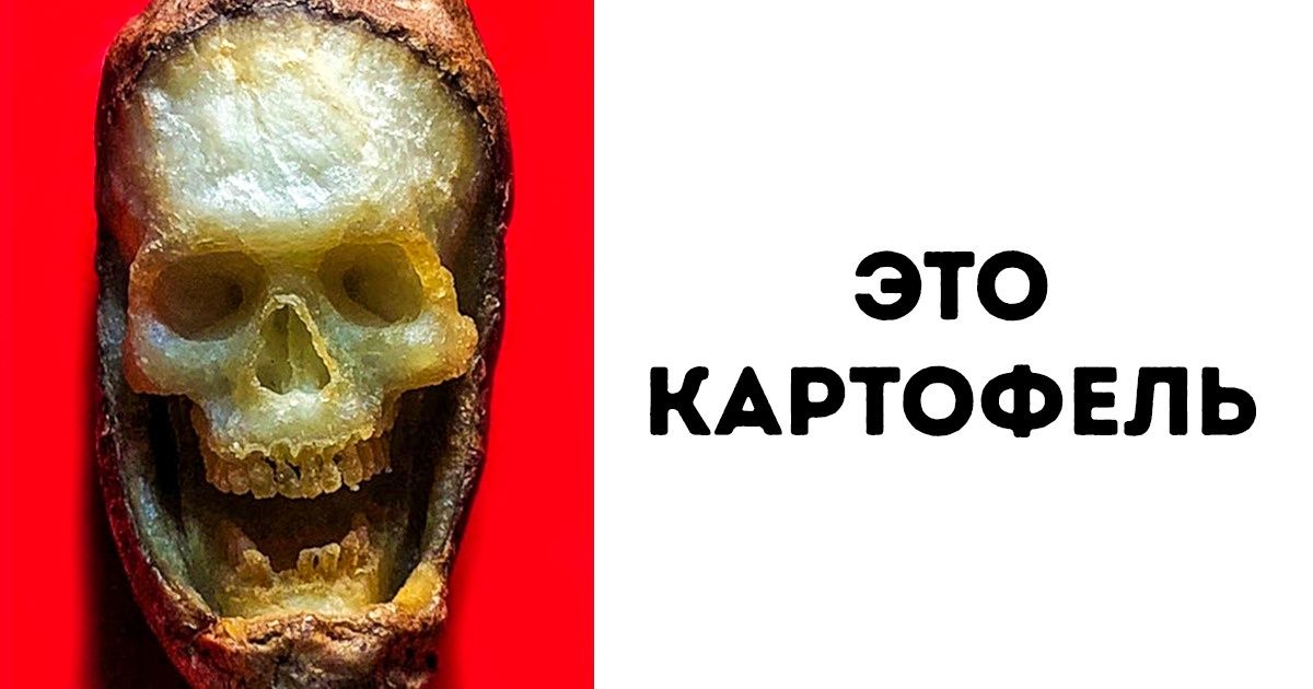 15 доказательств того, что в мире еще осталось место для чего-то удивительного