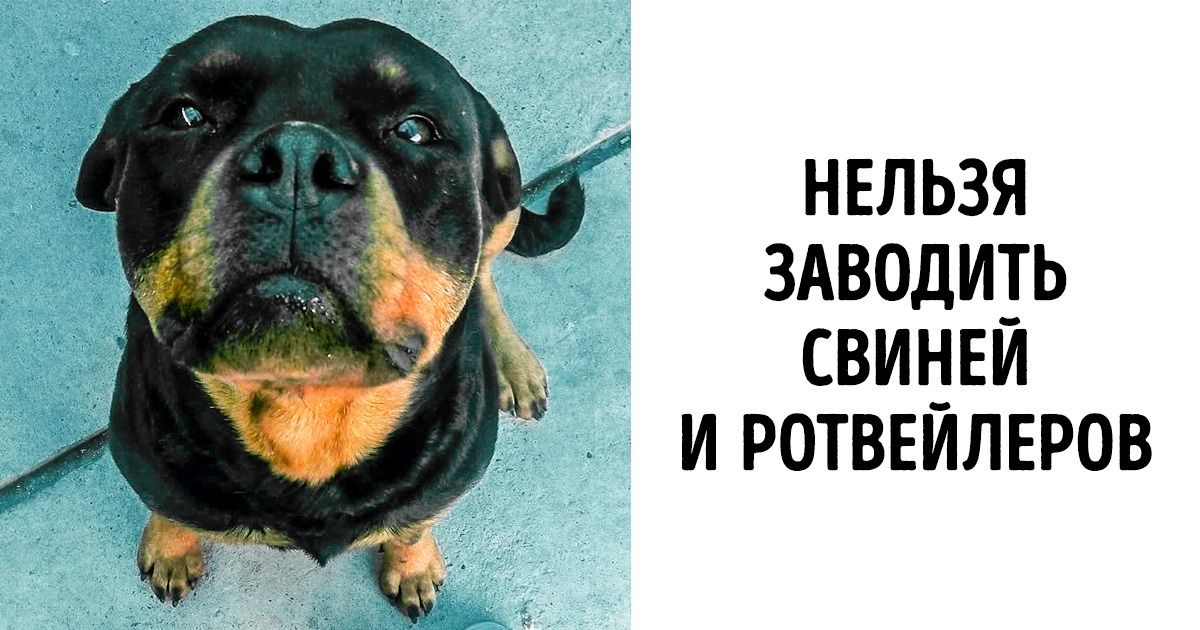 8 привычных для нас действий, которые категорически запрещены в Израиле