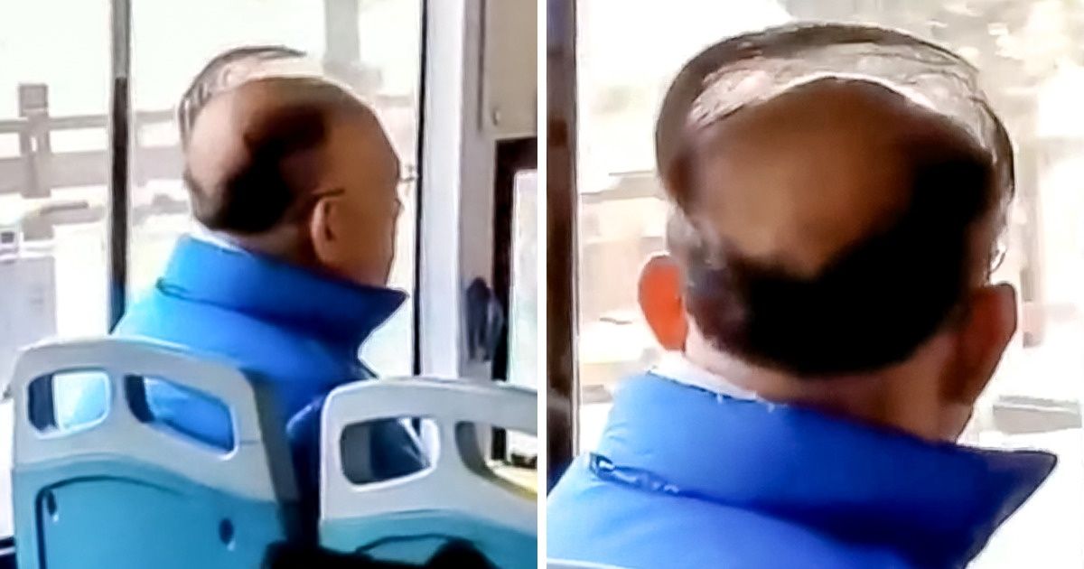 20 человек, чья прическа прославилась на весь интернет за считаные дни 20 человек, чья прическа прославилась на весь интернет за считаные дни