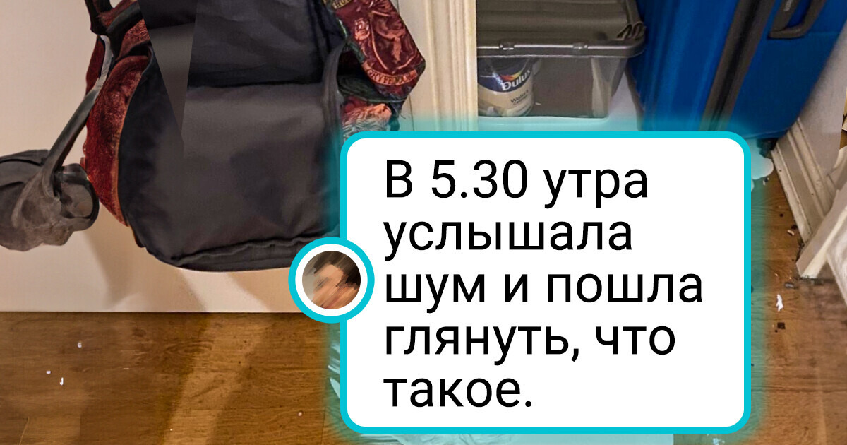 20+ человек, которые просто хотели нормально провести день, но тут нежданчик свалился