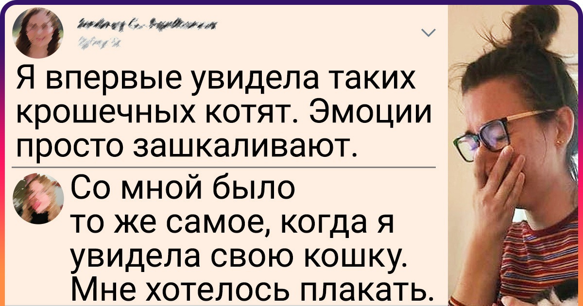 18 доказательств того, что котенок в доме — это минимум 100 граммов счастья
