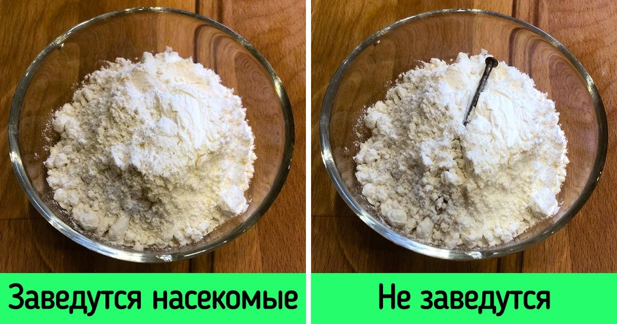 14 читателей AdMе.ru поделились секретами хранения продуктов, которые кажутся ерундой, а работают безотказно 14 читателей AdMе.ru поделились секретами хранения продуктов, которые кажутся ерундой, а работают безотказно