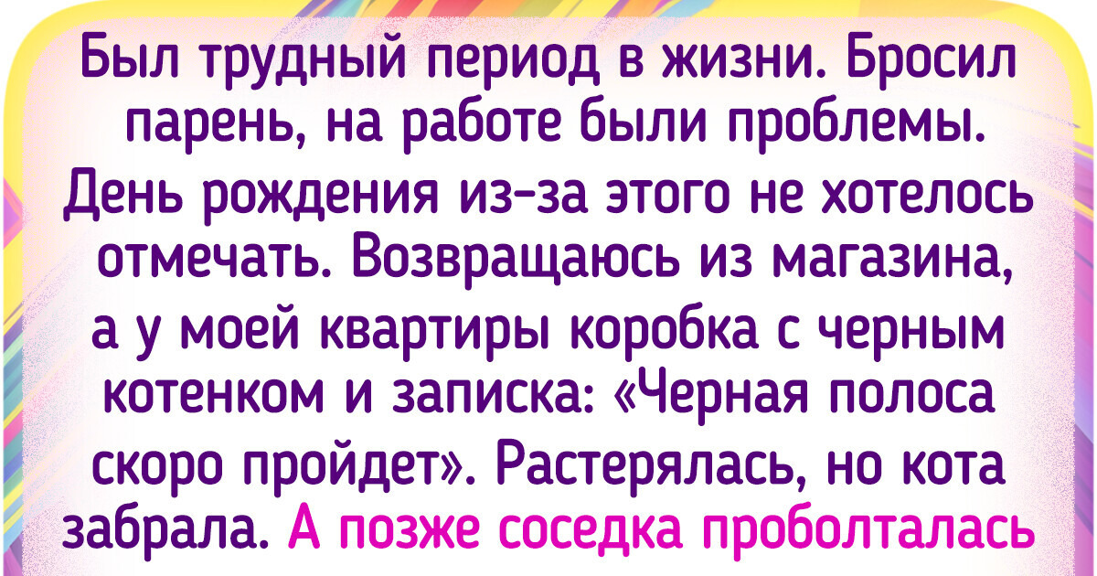 15 пушистых, которые постучались в квартиру и принесли любовь в лапках 15 пушистых, которые постучались в квартиру и принесли любовь в лапках