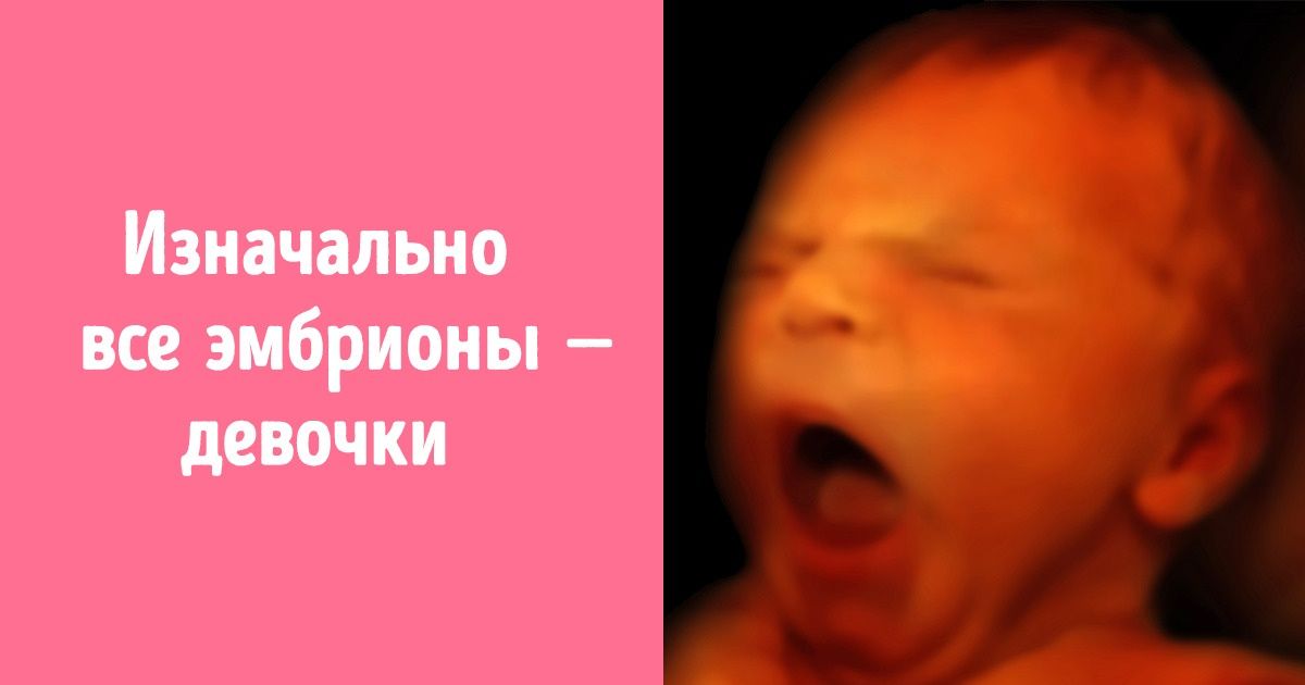 20+ ошеломляющих фактов, которые заставят вас усомниться во всем, что вы знали до этого