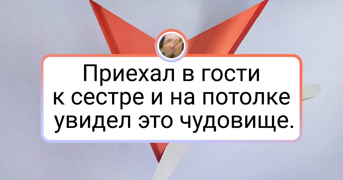 16 человек, которые сказали здравому смыслу: «Пока-пока!» — а окружающим теперь расхлебывать 16 человек, которые сказали здравому смыслу: «Пока-пока!» — а окружающим теперь расхлебывать