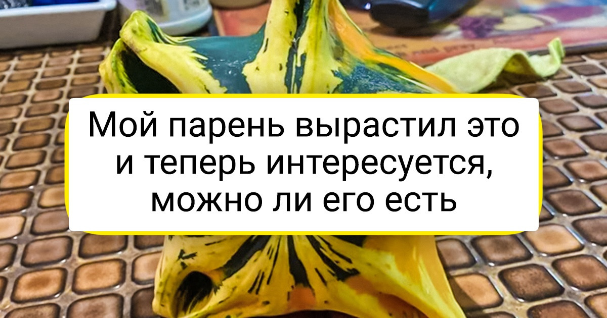 20+ счастливых людей, в чьем огороде не только репка выросла большая-пребольшая 20+ счастливых людей, в чьем огороде не только репка выросла большая-пребольшая