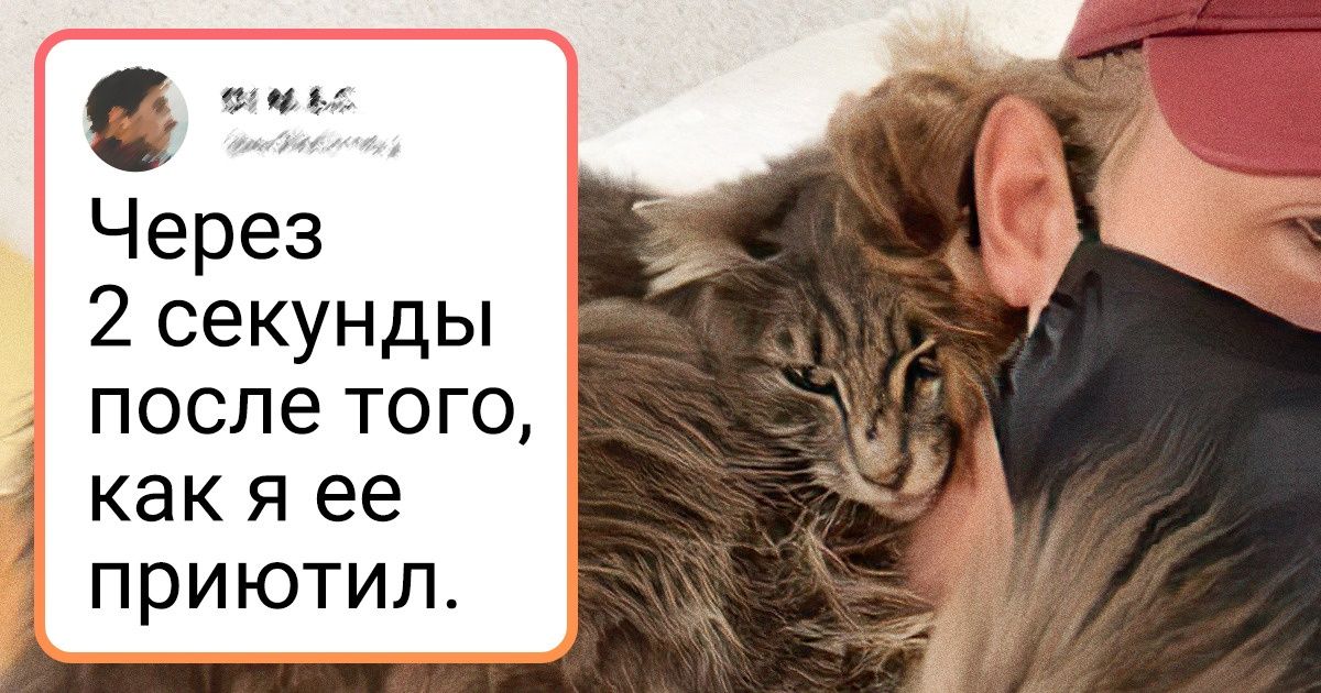 20+ животных, которым жизнь преподнесла подарок в виде доброго человека 20+ животных, которым жизнь преподнесла подарок в виде доброго человека