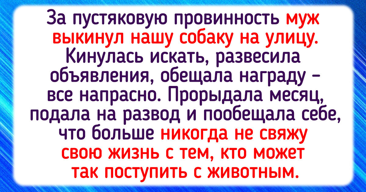 20+ историй о том, как отношение к животным раскрывает людей с новой стороны 20+ историй о том, как отношение к животным раскрывает людей с новой стороны