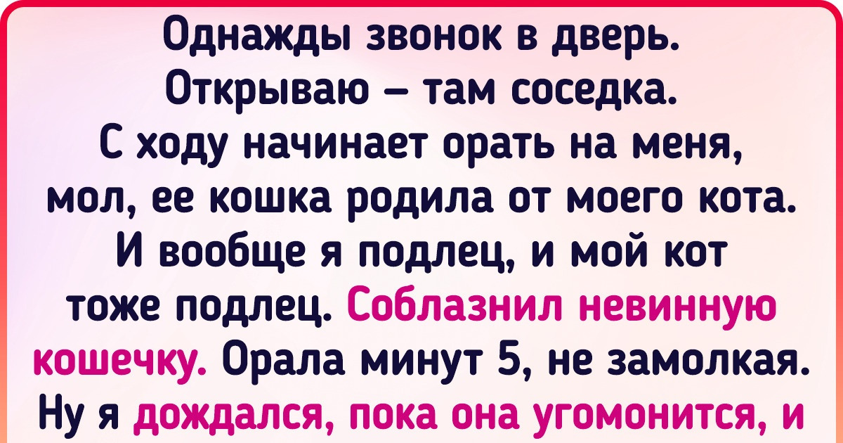 18 историй о мохнатых, которые на раз-два подтверждают, что без кота и жизнь не та. И без собаки тоже 18 историй о мохнатых, которые на раз-два подтверждают, что без кота и жизнь не та. И без собаки тоже
