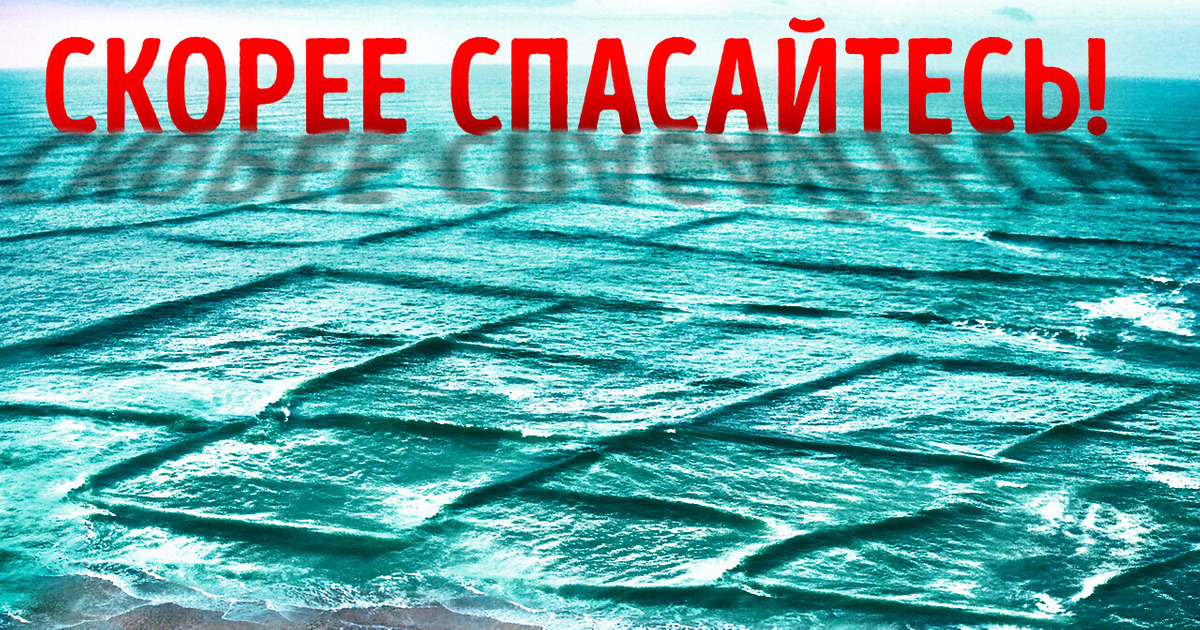 Если вы вдруг увидите квадратные волны, немедленно вылезайте из воды!
