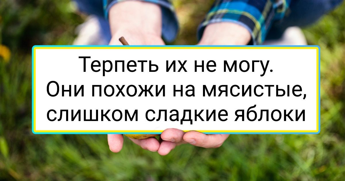 20+ приверед рассказали, какие обычные продукты ни за что не появятся в их холодильнике 20+ приверед рассказали, какие обычные продукты ни за что не появятся в их холодильнике