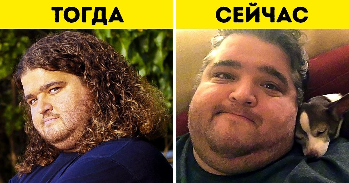 Как сегодня живут 18 актеров сериала «Остаться в живых» Как сегодня живут 18 актеров сериала «Остаться в живых»