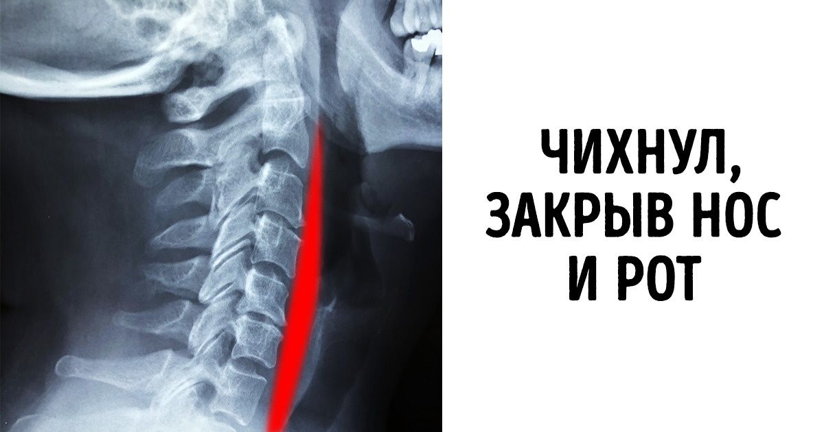 20+ фото от людей, которые смогли бы сделать интересными даже школьные учебники 20+ фото от людей, которые смогли бы сделать интересными даже школьные учебники