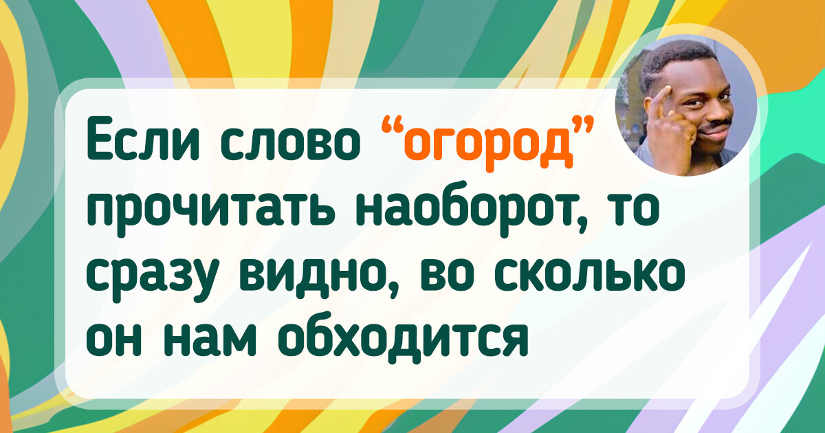 20+ человек вырастили такой урожай, что его хоть в комедии снимай 20+ человек вырастили такой урожай, что его хоть в комедии снимай