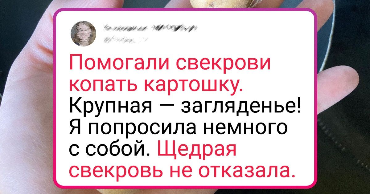 Как не дать поселиться свекрови в нашем с мужем доме и не развестись?