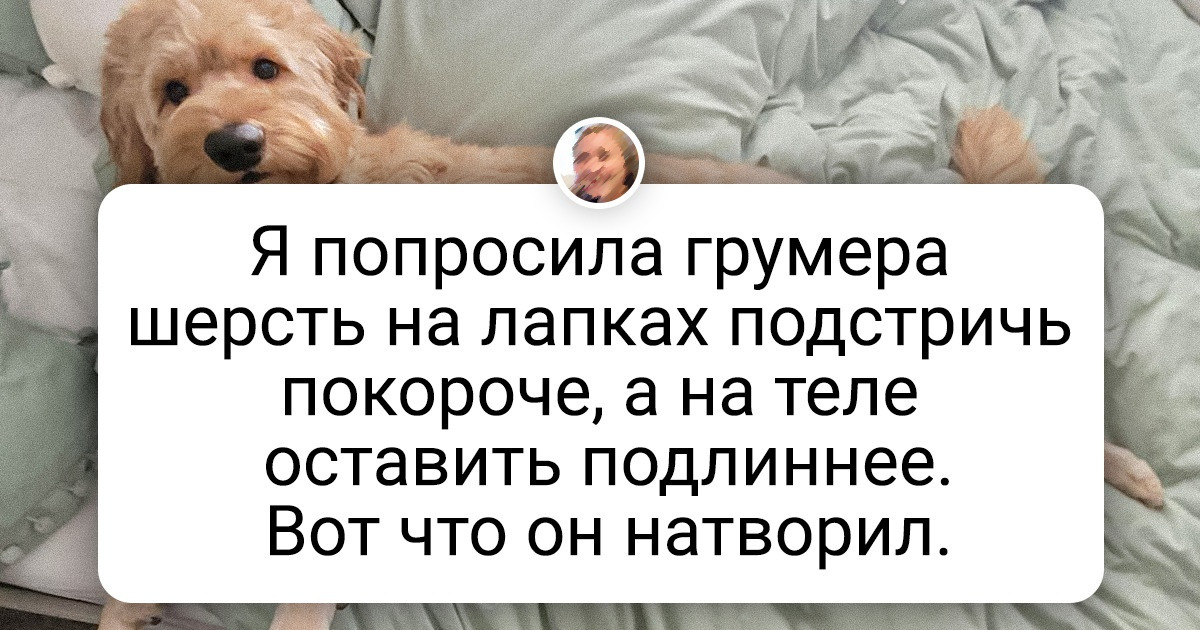 19 работников, для которых потехе — время, а за дело они лучше бы вообще не брались 19 работников, для которых потехе — время, а за дело они лучше бы вообще не брались