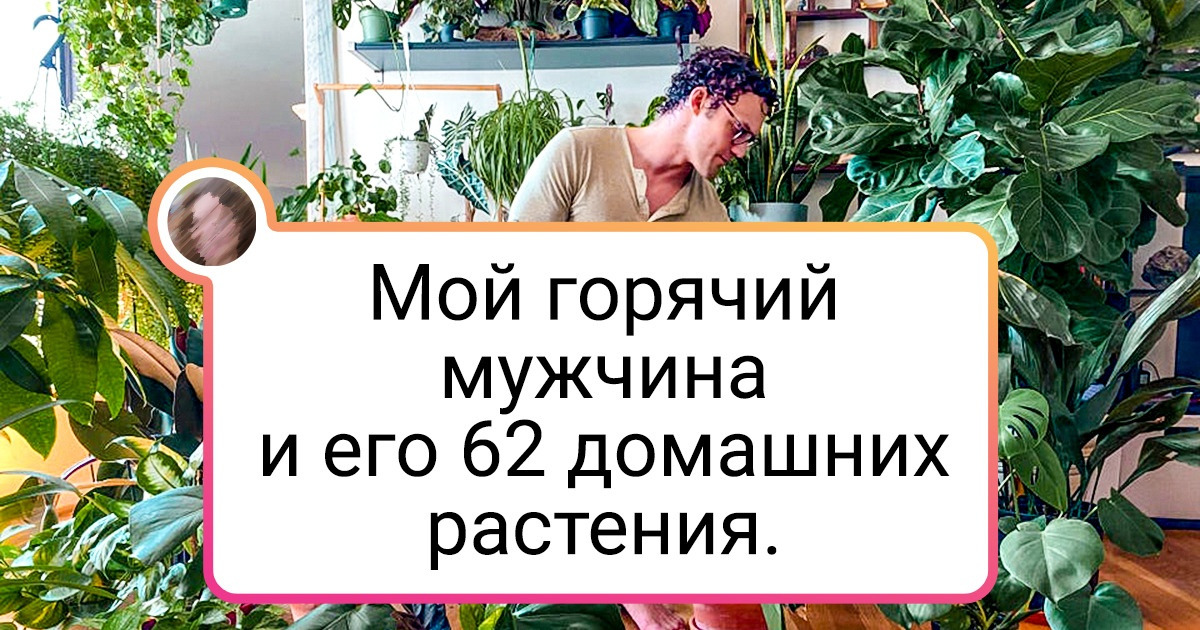 19 мужчин, которые любят и умеют заботиться о растениях, несмотря на все предрассудки