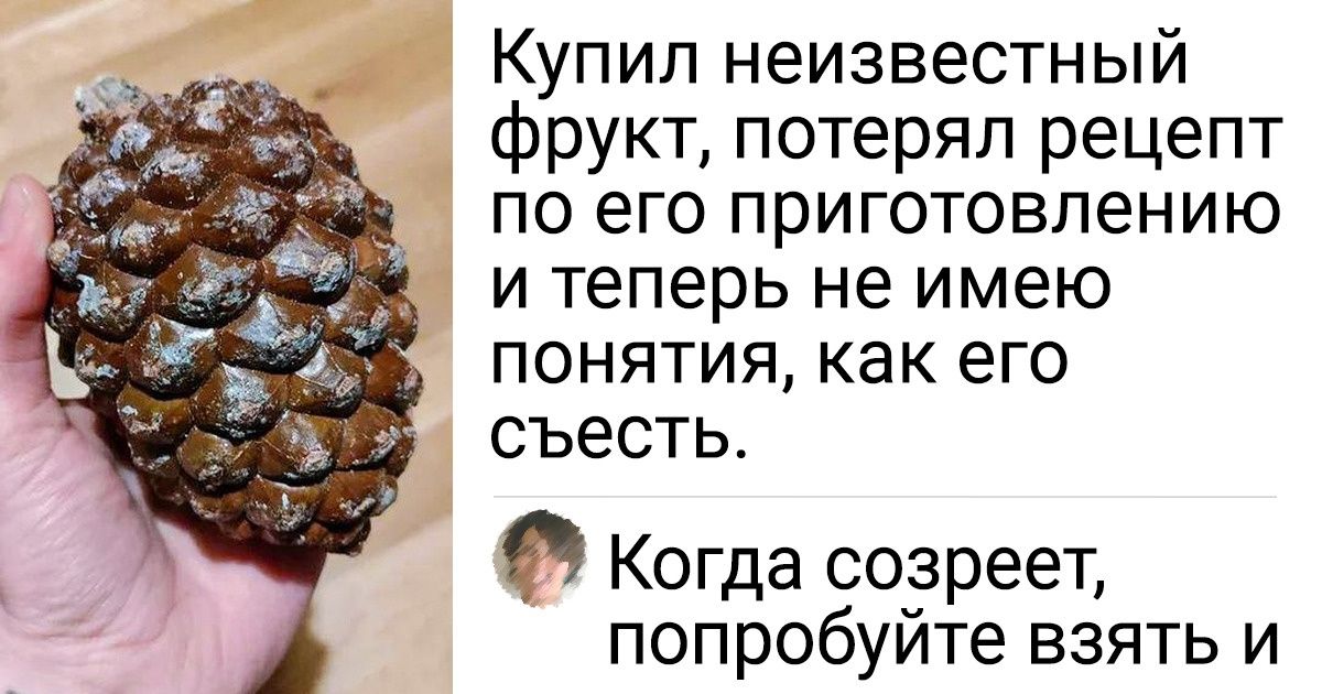 15 человек, которые увидели в магазине диковинную вещь и схватили без лишних размышлений