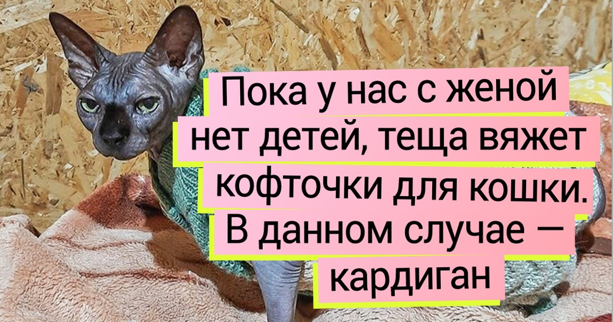 В ус не дует картинка