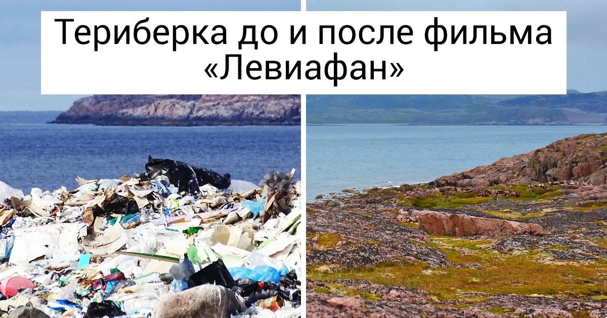 12 фильмов, которые неожиданно для своих создателей что-то поменяли в этом мире 12 фильмов, которые неожиданно для своих создателей что-то поменяли в этом мире