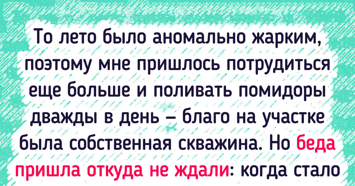 «А как же помидоры?» История о том, как я долго шла к своей мечте и в финале от нее отказалась «А как же помидоры?» История о том, как я долго шла к своей мечте и в финале от нее отказалась