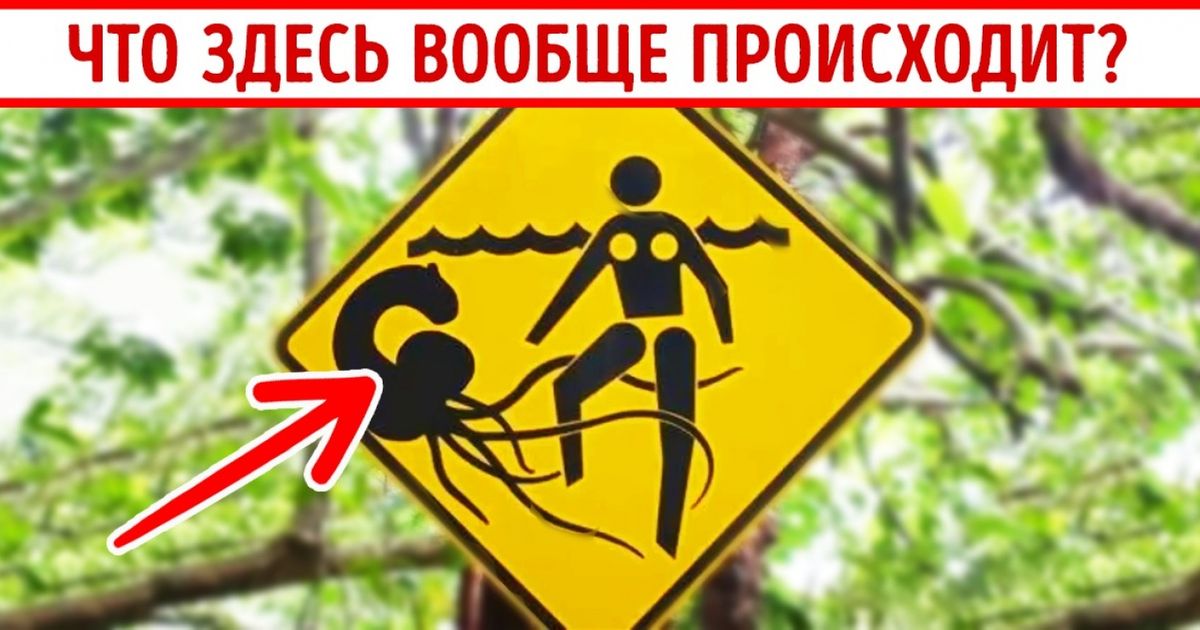 15 дорожных знаков со скрытым смыслом 15 дорожных знаков со скрытым смыслом