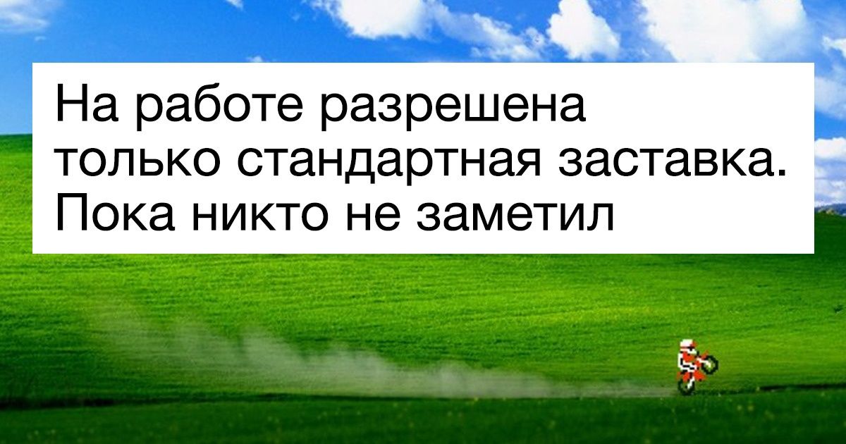 18 человек, которые на все смотрят с позитивом 18 человек, которые на все смотрят с позитивом